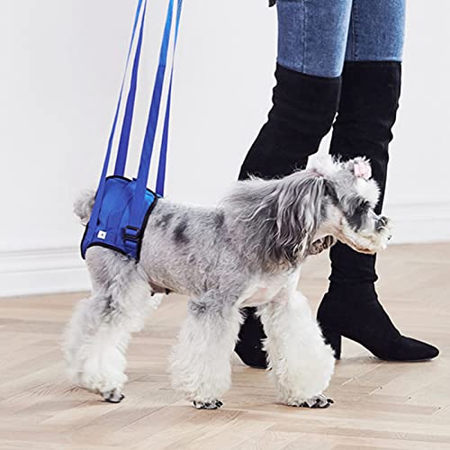 Arnés para Perros de Asistencia, Ayuda para Caminar para Mascotas, Cómodo Chaleco de Rehabilitación de Elevación de Piernas Ajustables, Arnés de Elevación para Perros(L)