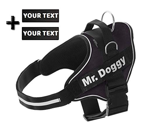 Arnés Personalizado para Perros - Reflectante - Incluye 2 Etiquetas con Nombre - Todos los Tamaños - De Calidad y Resistente (XL 30-45KG, Negro)