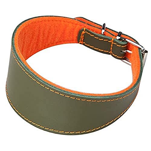 Arppe 2155013592 Collar Galgo o Cuero Superfelt, Naranja y Verde