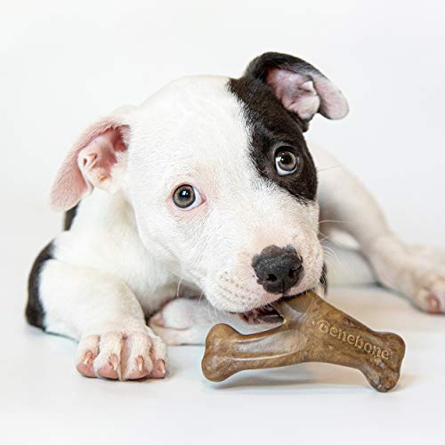 Benebone Puppy Tiny 2-Pack Durable Dental Chew/Wishbone for Aggressive Chewers, Real Bacon