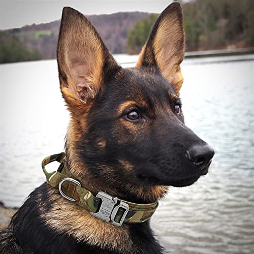BHWXXMM Collar de Perro táctico, Collar de Nailon Ajustable, Hebilla y Mango de Metal Resistente para Perros medianos y Grandes, Collar de Perro de Entrenamiento táctico al Aire Libre