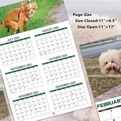 Bireegoo Calendario de pared para perros 2021, calendario divertido para perros 2021, calendario de pared para perros de enero 2021 a diciembre 2021, calendario divertido para amigos y vecinos