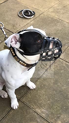 Bozal de perro de cuero genuino ligero para Staffordshire Bull Terrier Staffy, Staffie y otros (cuero marrón, AS0)