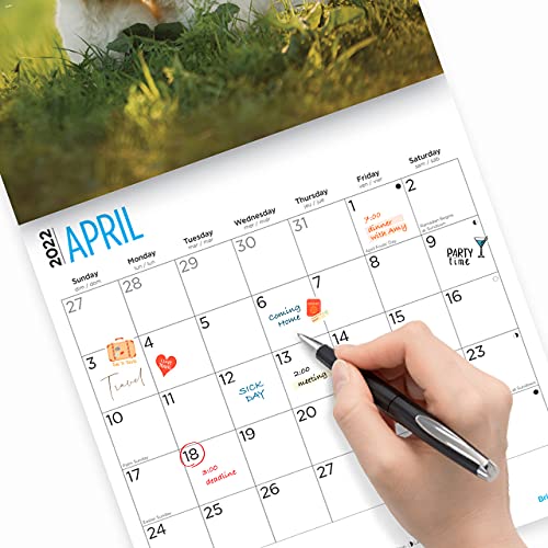 Calendario de pared Golden Retriever 2022 por Bright Day, 12 x 12 pulgadas, lindo perro