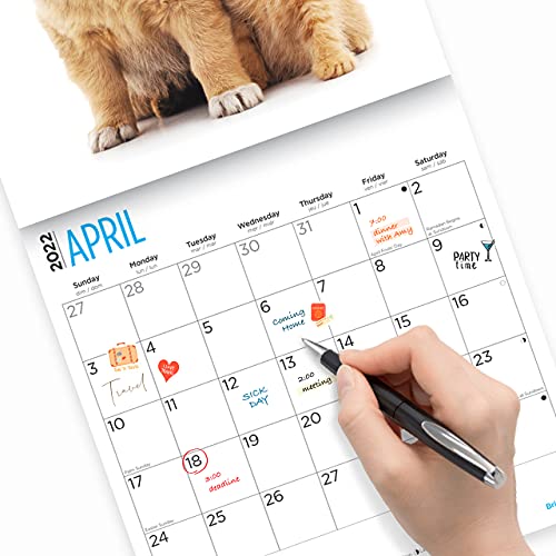 Calendario de pared para gatitos y cachorros 2022 por Bright Day, 12 x 12 pulgadas, lindo perro cachorro gato