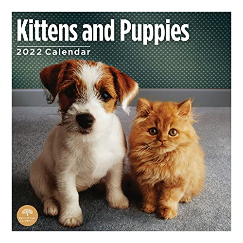 Calendario de pared para gatitos y cachorros 2022 por Bright Day, 12 x 12 pulgadas, lindo perro cachorro gato