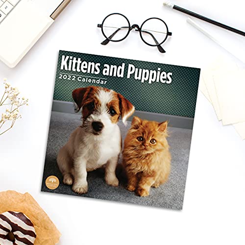 Calendario de pared para gatitos y cachorros 2022 por Bright Day, 12 x 12 pulgadas, lindo perro cachorro gato
