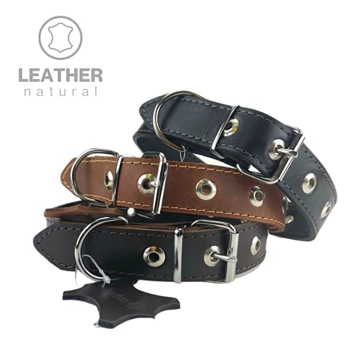 Collar de Cuero para Perros, marrón Oscuro XS, S, M, L, XL, XXL Hecho a Mano en Lituania (XS (17-25 cm))