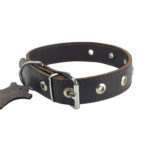 Collar de Cuero para Perros, marrón Oscuro XS, S, M, L, XL, XXL Hecho a Mano en Lituania (XS (17-25 cm))