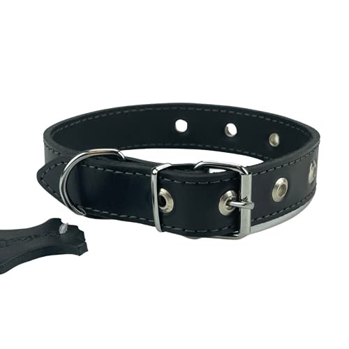 Collar de Cuero para Perros, Negro XS, S, M, L, XL, XXL Hecho a Mano en Lituania (M (30-40 cm))