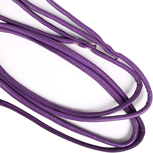 Cuerda Smll 1 PC Suave De Productos For Mascotas Perro De Cuero Correas 120cm Correa De Perro Entrenamiento Del Animal Doméstico Del Perrito De Caminar Correa Material Liso Fácil De Limpiar