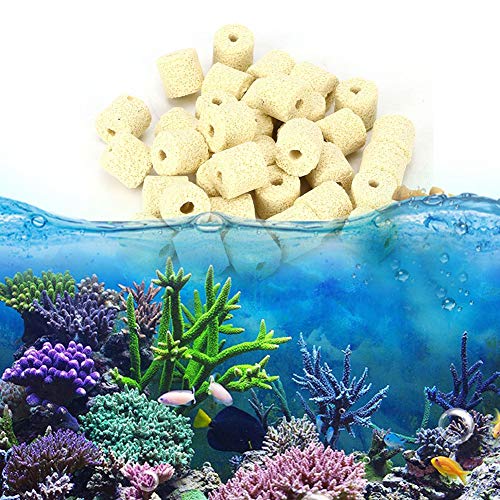 Cuque Venta Loca Anillo de bacterias de filtración de Agua, Anillo de bacterias de pecera de Agua purificada, Material de filtración de cerámica filtrada eficazmente Acuario para pecera