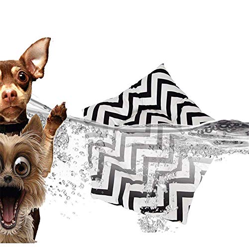 Dirgee Tienda de Mascotas Plegable, Pet Teepee Dog COPBITS Caza Cat con cojín - Tiendas de Perros de Interior Casas de Mascotas con cojín y Pizarra Estilo de Encaje Blanco