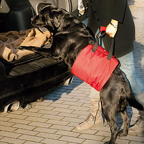 Doxtasy Asistente de arnés para Perro
