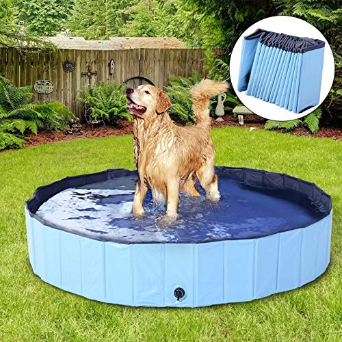 DreiWasser Piscina plegable para perros y mascotas, piscina al aire libre, plegable, antideslizante, de PVC duro, para mascotas grandes y Xtra perros grandes, niños, mascotas (160 cm x 30 cm)