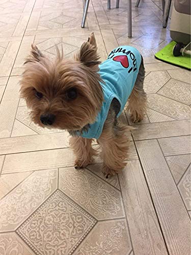 Ducomi Pets Love - Camiseta para perro y gato de algodón - Camiseta de verano para perros de pequeño y mediano tamaño y cachorros - Ropa de chihuahua, caniche y cachorros