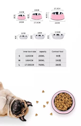 Edipets, Comedero Bebedero Gato Perro, Comida Húmeda y Agua para tu Mascota, Anti Vomitos, Tazón, Cuenco, Accesorios para Gatos (M, Diseño Gatos)