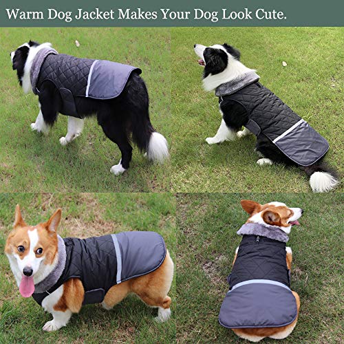 Etechydra Abrigo Perro Impermeable, Invierno Cálido Chaqueta Perro, Reflectante Mascotas Ropa Chaleco para Perros Pequeño, Mediano, Grande, XS
