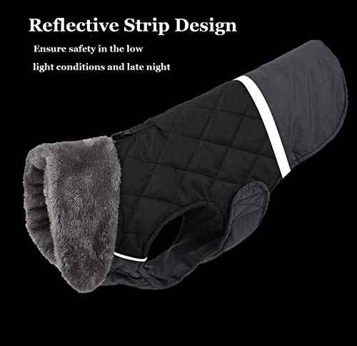 Etechydra Abrigo Perro Impermeable, Invierno Cálido Chaqueta Perro, Reflectante Mascotas Ropa Chaleco para Perros Pequeño, Mediano, Grande, XS