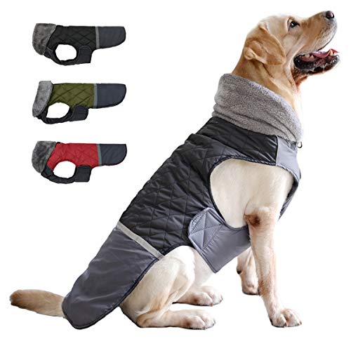 Etechydra Abrigo Perro Impermeable, Invierno Cálido Chaqueta Perro, Reflectante Mascotas Ropa Chaleco para Perros Pequeño, Mediano, Grande, XS