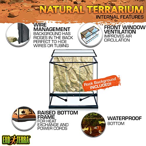 EXO TERRA Terrario Mediano Tall de 162 L, 60 x 45 x 60 cm