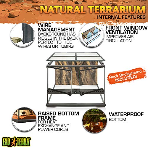 EXO TERRA Terrario Pequeño Low de 60 L, 45 x 45 x 30 cm