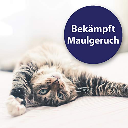 Felisept Almohadillas De Limpieza De Dientes para Gatos 50 Piezas - Cajas De Dedos para Una Práctica E Intuitival Impieza Dental Eficaz, Cuidado Dental, Higiene Bucal - Ayuda contra El Mal Aliento