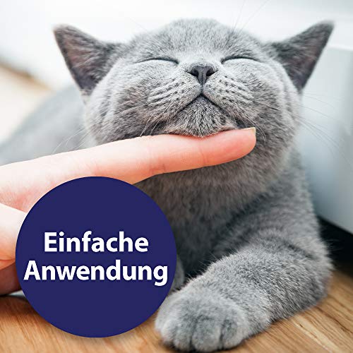 Felisept Almohadillas De Limpieza De Dientes para Gatos 50 Piezas - Cajas De Dedos para Una Práctica E Intuitival Impieza Dental Eficaz, Cuidado Dental, Higiene Bucal - Ayuda contra El Mal Aliento