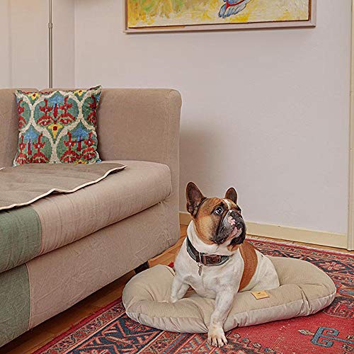 Ferplast Cojín Para Perros Y Gatos Stuart 78/8, Doble Cara, Tweed Y Suave Terciopelo, Lavable, Azul, L