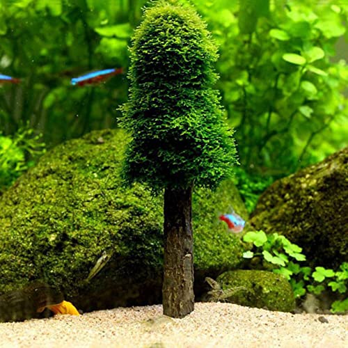 FURU Aquarium Moss Decoración Tanque de Peces Plantas Soporte Creación de Sus Propios árboles Mini Árboles Paisaje Forestal Cultivar Plantas Acuáticas Plantas de Agua Titular Aquarium