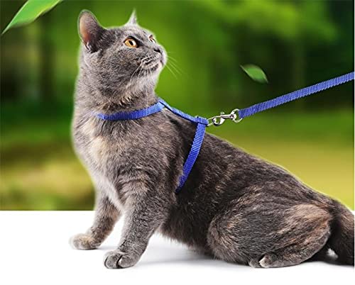 Guanyj 2 Pcs Correa de Gato Arnes Arnés Ajustable Correa para Gatos Gato Ajustable Antiescape Seguridad Arnés para Gato Nylon, para Mascotas Pequeño y Gatito Caminata Al Aire Libre (Azul y Negro)