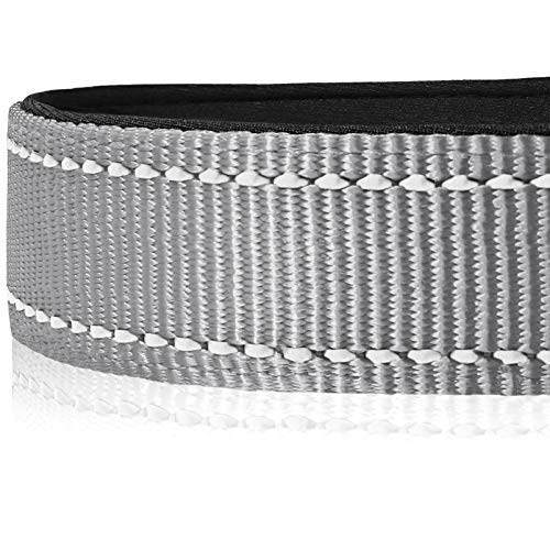 HEELE Collar Perro, Collar Nylon Reflectante Neopreno Forrado Ajustable para Perro Grande, Gris, L