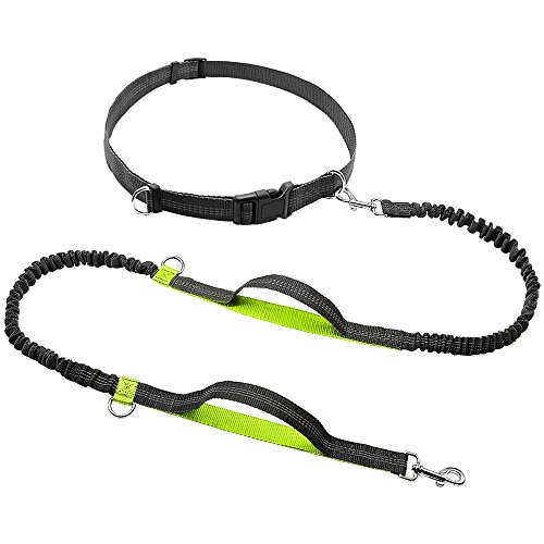 HFDDF Ropa De Cama, para Correr Caminando Caminando Nylon Manos Libres Bungee Perro Correa Reflectante Ajustable Dual Mango Mascota Potencia con Bolsa De Basura Libre,Azul