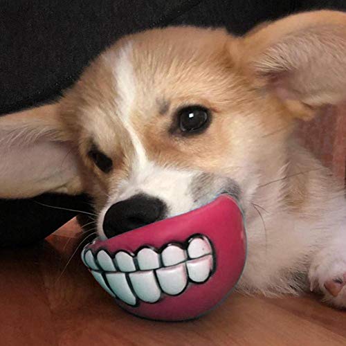 HUANG Bola de Dientes de 3 Piezas para Perro, Mascota, Entrenamiento, Masticar, Jugar, Buscar, morder, patrón de Sonrisa, Sonido chirriante, Juguetes interactivos (Color Aleatorio)