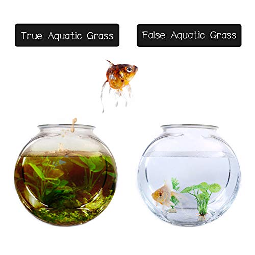 Huayue 15pcs Planta Artificial Plástico Decoración Pecera, Planta Acuario Plantas Plásticas para Acuarios Decoraciones Plásticas del Tanque de Peces, Planta de Simulación Viva Acuario Paisaje (5-14cm)