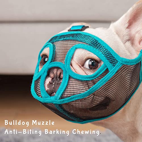 ILEPARK Bozal para Perros de Hocico Corto, Bozal de Bulldog francés, Anti-Mordiscos y Ladridos, Máscara para Perros Transpirable Ajustable(S,Azul)