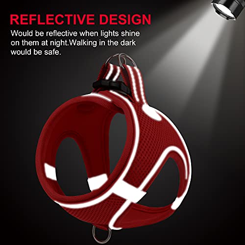 Joytale Arnes Perro, Reflectante Cómodo Transpirable Arnés, Perros Arneses Chaleco para Gato y Cachorros Perro, Rojo, XXXS