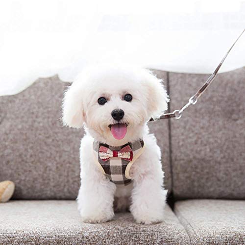 KDKDA Gato arnés Correa Cachorro Collar de Perro Ropa Chaleco Gatito Suministro de Mascotas al Aire Libre Conjunto de arnés a Cuadros y Correa (Color : C, Size : S)