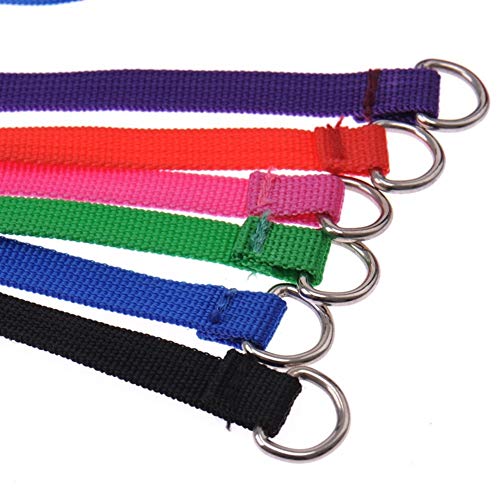 Lovely 6colores / Paquete Deslizamiento Plomo Collar De Perro De Mascota Correa Peluquería De Perros Perrera Control De La Correa De Animales Refugio Plomo Mascotas Cachorro Collar De Gato 120 Cm