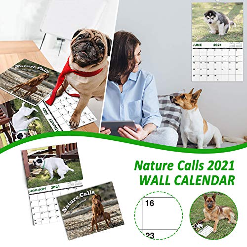 Lucidting Calendario de Perros de Caca, planificador de Pared de Llamadas de Naturaleza para Perros, Regalo Divertido para Amantes de los Perros (A, 14 * 21cm)