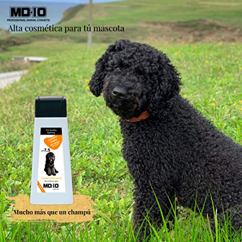 MD-10 COLLECTION Champú Perro de Aguas Pelo Negro (5 LTR)