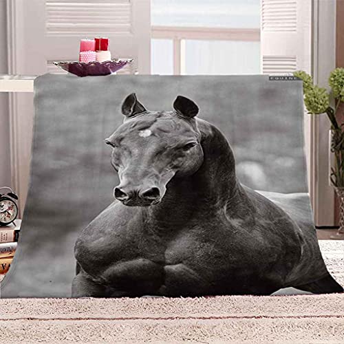 MIJYLD Manta de Felpa de Franela Caballo Animal Negro Manta 3D Manta de Forro Polar Gruesa Cálida y Esponjosa Manta para el hogar y de Viaje, Manta para sofá Cama, Fácil de cuidar 70x100 cm