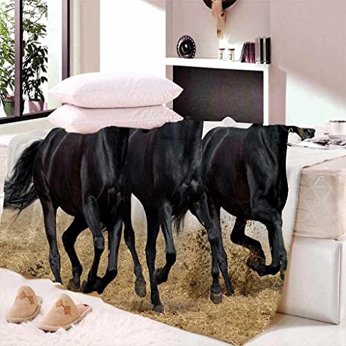 MIJYLD Manta de Felpa de Franela Caballo Negro Animal Manta 3D Manta de Forro Polar Gruesa Cálida y Esponjosa Manta para el hogar y de Viaje, Manta para sofá Cama, Fácil de cuidar 70x100 cm
