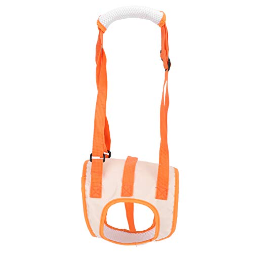 Mothinessto Arnés de Asistencia para Perros, arnés de Asistencia para Patas traseras débiles con asa, Tela de Malla para Ancianos con Lesiones(S)