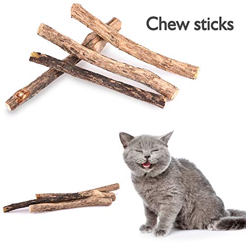 Nabance 36 Piezas Juguetes para Gatos, Juguete Interactivo con Plumas para Gatito, Set di Juguetes para Gatita Interactivo Ratones, Juguetes para Gatos con Plumas Túnel, Gatos Interactivo Varita