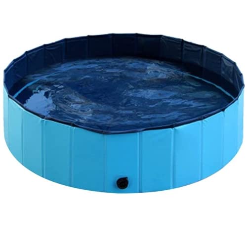 N/Brand Piscina para Perros, Piscina portátil para Perros, bañera Plegable de plástico Duro para Mascotas para Perros y Gatos Grandes o medianos (120 * 30cm)