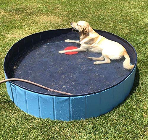 N/Brand Piscina para Perros, Piscina portátil para Perros, bañera Plegable de plástico Duro para Mascotas para Perros y Gatos Grandes o medianos (120 * 30cm)