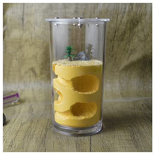 Nido De Hormigas and Farm High Cup Yeso Hormiga Nido Formicarium Formación Hidratante Nest Hábitat Horm Castle House (Color : Yellow)