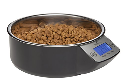 NUM'AXES 230395 Comedero Eyenimal con Bascula Electrónica Negro - 1 l