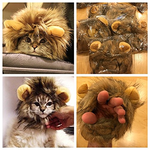 OMG Adorables Traje Melena de león para Gatos Suave,Peludo Peluca del Animal doméstico con oídos Lindos Se Adapta a los felinos Adultos y Perros pequeños